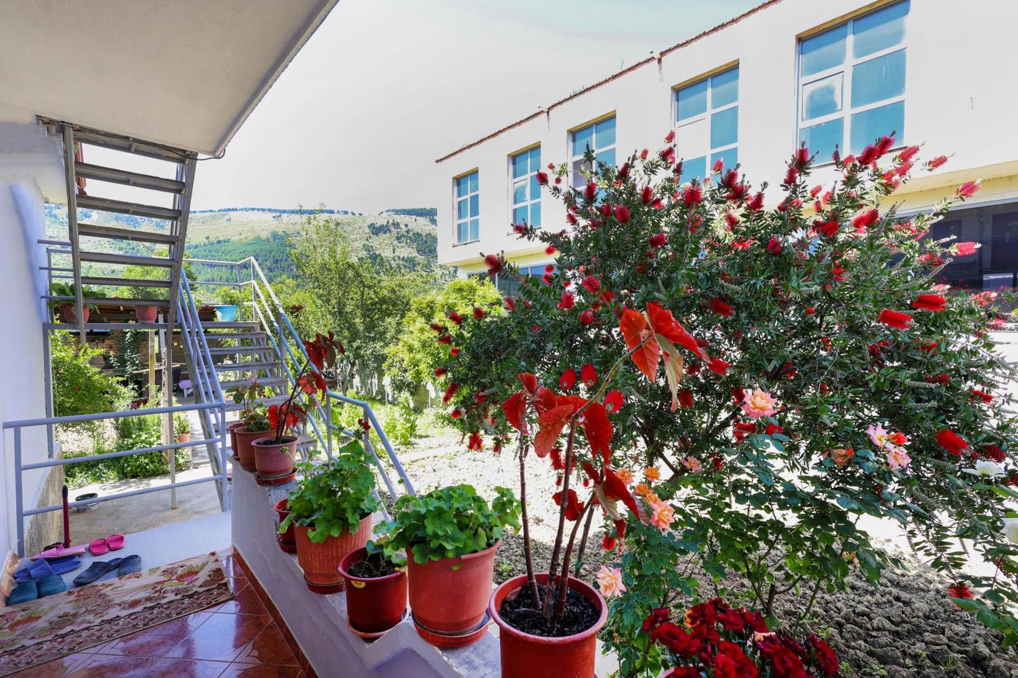 Villa Samuela Cozy Retreat Berat Exterior foto