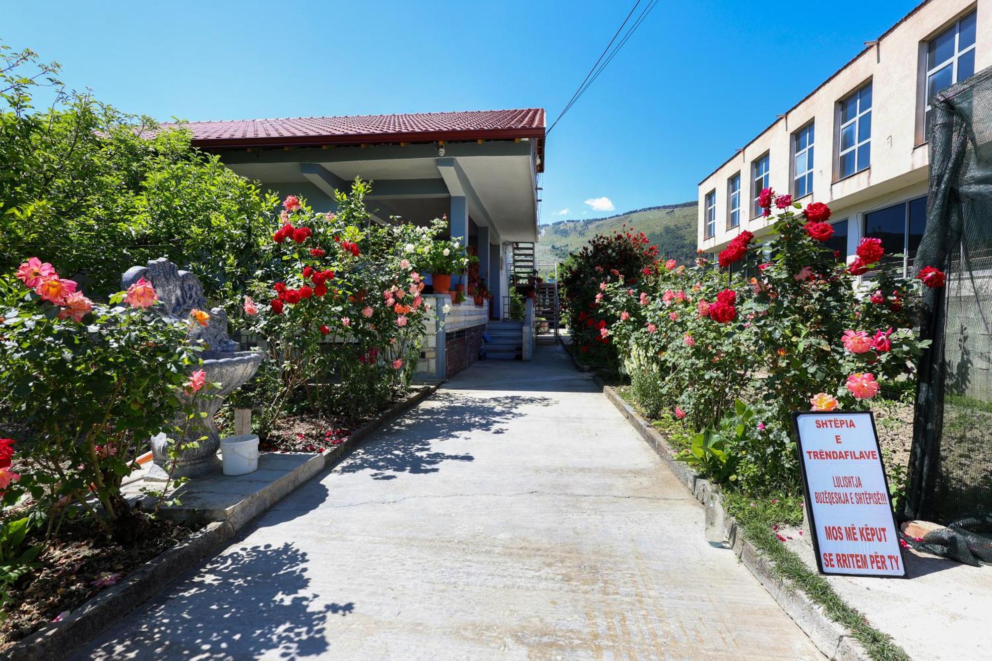 Villa Samuela Cozy Retreat Berat Exterior foto